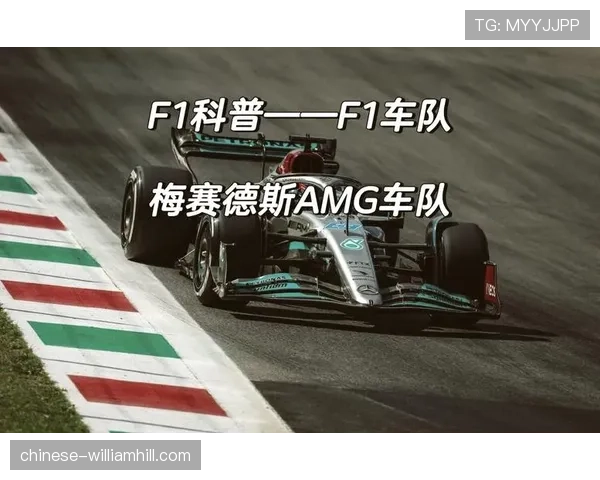 阿尔派恩车队动力单元可靠性成隐患 影响车手发挥